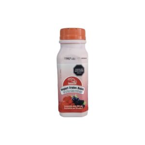 Yogurt Frutos Rojos Personal 200 ml